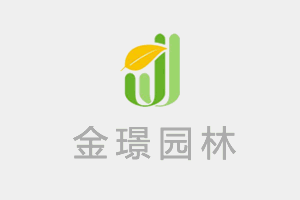 大规模国土绿化扮靓美丽中国--全国5年完成造林5.29亿亩，义务植