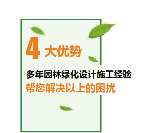 经验丰富