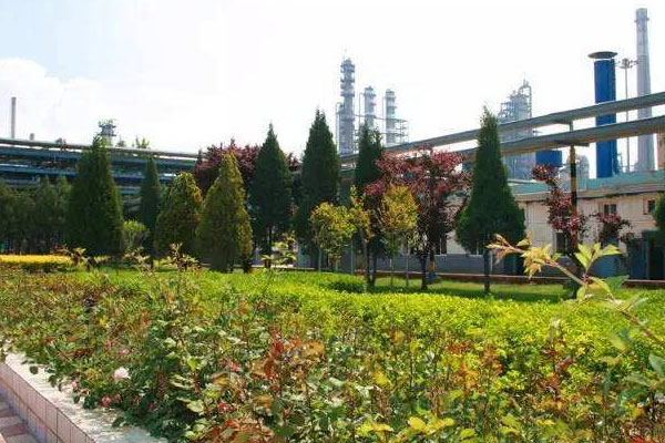 “园林精神”引发关注 园林绿化和林业系统掀起学习热潮