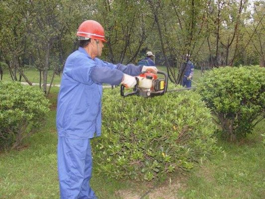 绿化养护