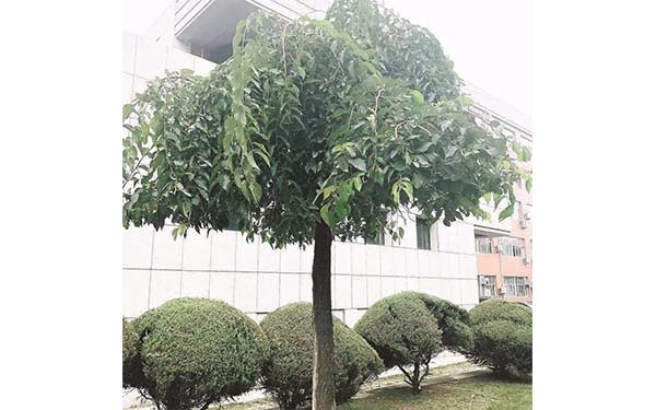 工程案例