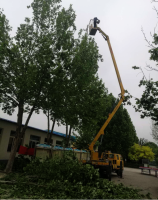 修树工程